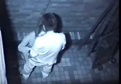 एक कोमल फाग बाथरूम हिंदी मूवी एचडी सेक्सी वीडियो में एक साथी का मुर्गा चूसता है
